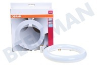 Osram  4058075604612 SubstiTUBE T9 12W Cool White 4000K geeignet für u.a. 12W 4000K 1200 Lumen
