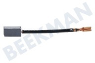 Black & Decker 56045400 560454-00  Kohlebürste geeignet für u.a. KG65, KG72, KG90 8x6mm geeignet für u.a. KG65, KG72, KG90