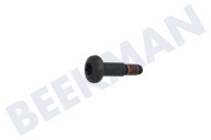 Schraube geeignet für u.a. D27105, D27107 Torx T30