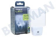 Integral ILNLCLEU  Auto-Sensor Nacht-Licht geeignet für u.a. Netzstrom,