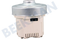 AEG 140075168041 Staubsauger Motor geeignet für u.a. VX82-1-2MG, PD82-4MG