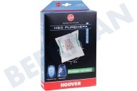 Hoover 35600392 Staubsauger H60 Pure Hepa geeignet für u.a. Telios Plus, Sensory, Freemotion, Silent Energy