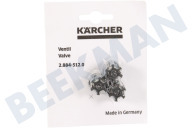 Karcher 28845120  2.884-512.0 Ventil geeignet für u.a. HDS995SXEU, FT700TSEU