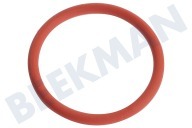 Karcher 63632790  O-Ring geeignet für u.a. SC1401 Für Druckventil geeignet für u.a. SC1401