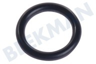 Karcher 63629220 Dampfreiniger O-Ring geeignet für u.a. SC1402 8,73 x 1,78 geeignet für u.a. SC1402