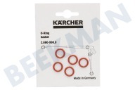 Karcher 28809900  O-Ring geeignet für u.a. HDS580, HDS760 O-Ringe Set von 5 Stück für Griff und Jet-Rohr geeignet für u.a. HDS580, HDS760