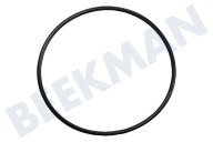 Karcher 90804250 9.080-425.0 Hochdruck Dichtung geeignet für u.a. K3800, K4800, K5800 O-Ring hinter dem Zylinderkopf geeignet für u.a. K3800, K4800, K5800