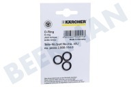 Karcher 28801540 Hochdruck 2.880-154.0 O-Ring-Satz geeignet für u.a. K450MEU, K502MSEU, G985EU
