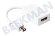 Ewent  EW9861 Mini Displayport-Adapter-Kabel geeignet für u.a. Adapter-Kabel 0,15 Meter