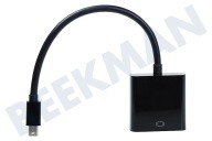 Easyfiks  Mini Displayport zu VGA Adapterkabel 20 cm geeignet für u.a. 0,2 Meter, schwarz