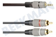 Easyfiks  Klinke 3,5 mm Stereo-Stecker - 2x RCA Cinch-Stecker, 5,0 m geeignet für u.a. 5,0 Meter vergoldet
