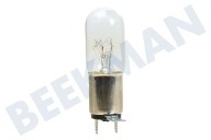 Ignis 10004773  Lampe geeignet für u.a. Moulinex-Toshiba-Daewoo-Sharp 25W Amp Con. 4,3mm geeignet für u.a. Moulinex-Toshiba-Daewoo-Sharp