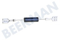 Universell D208 Ofen-Mikrowelle Diode geeignet für u.a. HV-6X2PI RGI07 2x 6.3mm  85mm lang geeignet für u.a. HV-6X2PI RGI07