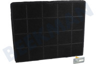 Progress 9029865731 Wrasenabzug ECFB01ST Aktivkohlefilter Odorclean geeignet für u.a. DIE5960HB