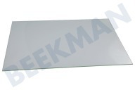 Ikea  140040025011 Türglas innen geeignet für u.a. ZOP37982XK, BSE577021M