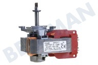 AEG  3890813045 Mikro Motor, Heißluft geeignet für u.a. DE401302, BP3103001