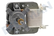 Voss-electrolux  5550271000 Motor geeignet für u.a. EVY3741AOX, KM8403001M, KS8454801M