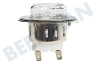 Voss-electrolux 5550592025 Lampe geeignet für u.a. KM1840310, KM8403021, EVY7800  Lampe komplett mit Halter geeignet für u.a. KM1840310, KM8403021, EVY7800