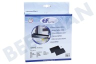 Eurofilter C00308166 Dunstabzugshaube Filter geeignet für u.a. AGS, HA19VT, AGMMT Kohlefilter 193x135 geeignet für u.a. AGS, HA19VT, AGMMT