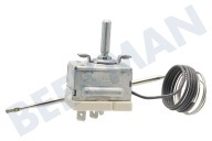 Ariston C00145486 Ofen-Mikrowelle Thermostat geeignet für u.a. FA217, FA557, FA757 Stiftsonde Ofen 2 Kontakte geeignet für u.a. FA217, FA557, FA757