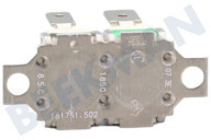 Pitsos 627029, 00627029 Ofen-Mikrowelle Thermostat geeignet für u.a. HB301E1S, HBN531W0