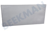 Etna 684722 Wrasenabzug Filter geeignet für u.a. AO160WITE01 Aluminium geeignet für u.a. AO160WITE01