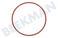 Dichtungsgummi geeignet für u.a. HG3111MTA, GKB635RVS O-Ring 56,8x1,78
