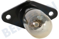 Etna 32480 Lampe geeignet für u.a. ESM132RVS, MAG675RVS Ofen-Mikrowelle Lampe 20W mit Halterung geeignet für u.a. ESM132RVS, MAG675RVS