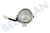 23803 Lampe Strahler 20 Watt, Halogen, Edelstahlrand