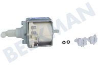 Pumpe geeignet für u.a. EN124S, EN124R Wasserpumpe