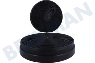 Rosieres 49037930  Filter geeignet für u.a. CVMAD60N, CCT9852W, HMB96001X Kohlefilter CF110 geeignet für u.a. CVMAD60N, CCT9852W, HMB96001X