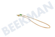 Bauknecht 162120  Thermoelement geeignet für u.a. G6N5BX, GI4307E