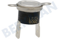 Upo 310287 Ofen-Mikrowelle Thermostat geeignet für u.a. EVP2P41411E, EVE3P41444