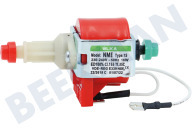 Pumpe geeignet für u.a. BCMS598S19X, GCS773X Dampffunktion
