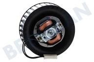 Whirlpool 481236178029 Ofen-Mikrowelle Ventilatormotor mit Lüfterrad geeignet für u.a. JT356, JT369BL