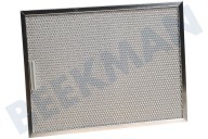 Pelgrim 23307 Wrasenabzug Filter geeignet für u.a. 247x328mm PSK600, MSK150RVS Metal mit Stift geeignet für u.a. 247x328mm PSK600, MSK150RVS