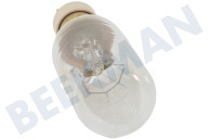 Pelgrim 20711 Ofen Lampe geeignet für u.a. MAG565, MAG565RVS für Mikrowelle 40W geeignet für u.a. MAG565, MAG565RVS