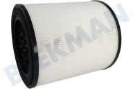Rowenta XD6280F0 Luftbehandlung Filter geeignet für u.a. Pure Air City PU2840
