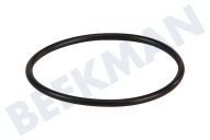O-Ring geeignet für u.a. SUP025, ITALIA Filter DM = 20mm