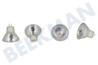 Novy 7401030 Abzugshauben Lampe geeignet für u.a. D810, D821 20 Watt GU4 12 Volt, 4er Set geeignet für u.a. D810, D821