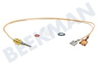 Dometic 407144377  Thermoelement 350mm geeignet für u.a. CE88-ZF, CE99-DF