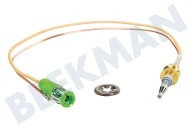 Dometic 105310310  Thermoelement geeignet für u.a. PICE99, MO7123, PIKSK2007 Länge 220mm geeignet für u.a. PICE99, MO7123, PIKSK2007