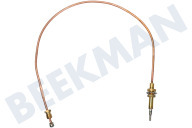 Thermoelement
