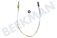 Dometic 4453001381  Thermoelement geeignet für u.a. CE99ZF, MO9722 Länge 350 mm geeignet für u.a. CE99ZF, MO9722