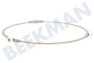 Inventum 30100900005 Ofen-Mikrowelle Ring für Drehteller 22cm geeignet für u.a. MN255C, MN304C, MN305C, MN325CS