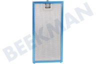 Faber 133.0200.454 Abzugshaube Filter geeignet für u.a. Cocktail BK F80, Cocktail WH F80, Cocktail XS BK F55 Fettfilter, Metall, 124 x 254 geeignet für u.a. Cocktail BK F80, Cocktail WH F80, Cocktail XS BK F55
