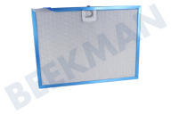 Faber 133.0395.386 Abzugshaube Filter geeignet für u.a. In-Nova Smart X A90, Divina Sensor X A90 (S/I) Fettfilter, Metall, 286 x 209,4 geeignet für u.a. In-Nova Smart X A90, Divina Sensor X A90 (S/I)