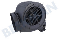 Faber 133.0047.748 Abzugshaube Motor geeignet für u.a. Advance EG8 X/V A60 FB EXP komplett, Cronos geeignet für u.a. Advance EG8 X/V A60 FB EXP