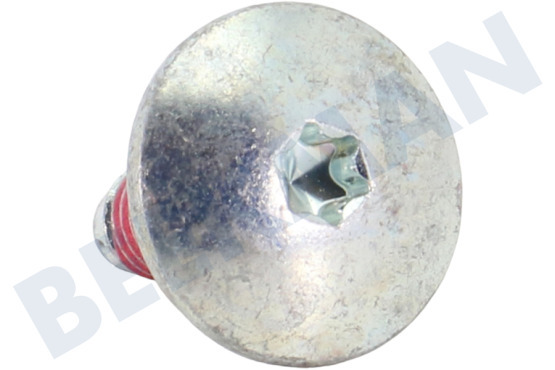 Zanussi Waschmaschine Bolzen des Antriebriemens