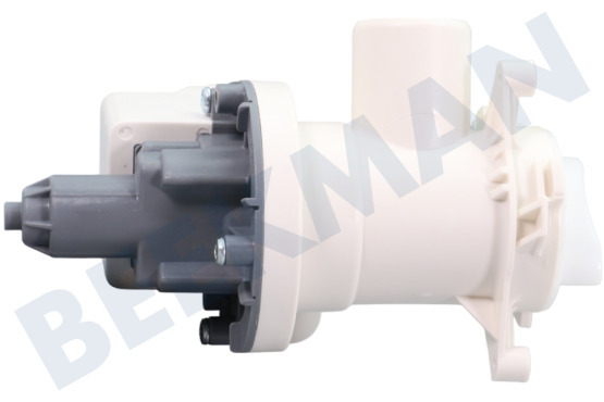 Indesit Waschmaschine Ablaufpumpe